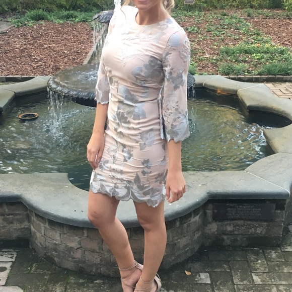 Dress the Population Paige Nude Sheath Dress Silver Embroidery - Picture 2 of 11